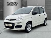 Fiat Panda - Vorschau Bild 1
