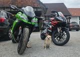 Aprilia Rs 125 Replica  - APRILIA RS 125 REPLICA