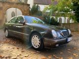 Mercedes-Benz E 270 CDI ELEGANCE  - Mercedes-Benz E 270: Cdi