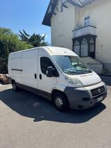 Fiat Ducato 250 L lang - Fiat Ducato: 250l