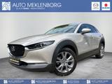 Mazda CX-30 2.0l "Selection" "PRE-P" "DES-P" - Mazda CX-30 Gebrauchtwagen in Berlin
