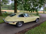 Jaguar E-Type 4,2L FHC 1968 - Jaguar E-Type Oldtimer