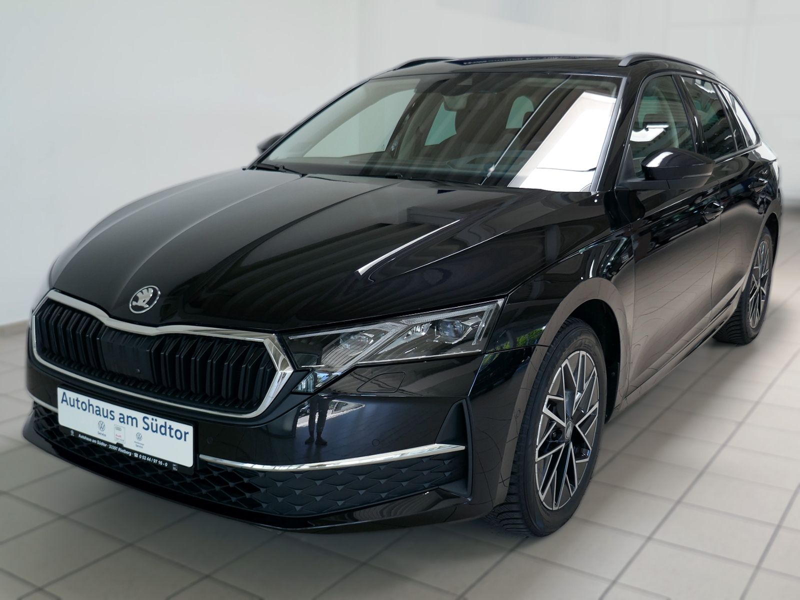 Fahrzeugabbildung SKODA Octavia Combi Tour 2.0 TDI | LED RFK ACC Navi