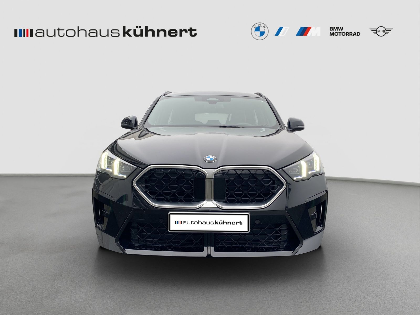 BMW X2 xDrive 20d M Sport AHK 360° HUD Navi RFK P foto 3