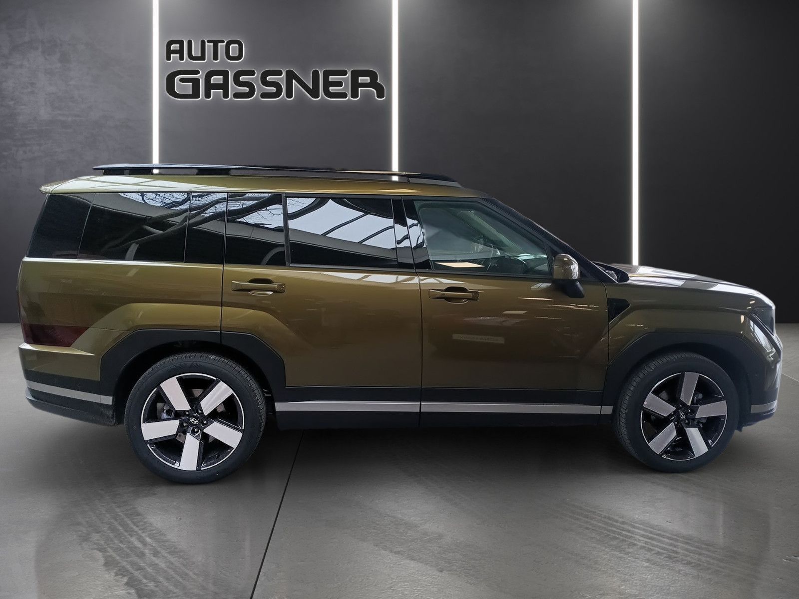 Fahrzeugabbildung Hyundai Santa Fe 1.6 T Hybrid 215PS 4WD Signature