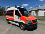 Mercedes-Benz Sprinter 316 / Trage + Rampe / GG 3.500 kg - Offers matching your search criteria