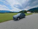 Skoda Kamiq 1.0l TSI 81kW TOUR TOUR - Skoda Kamiq von privat