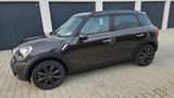 MINI Cooper SD Countryman LEDER NAVI PANO 18" - MINI Cooper SD Countryman Gebrauchtwagen