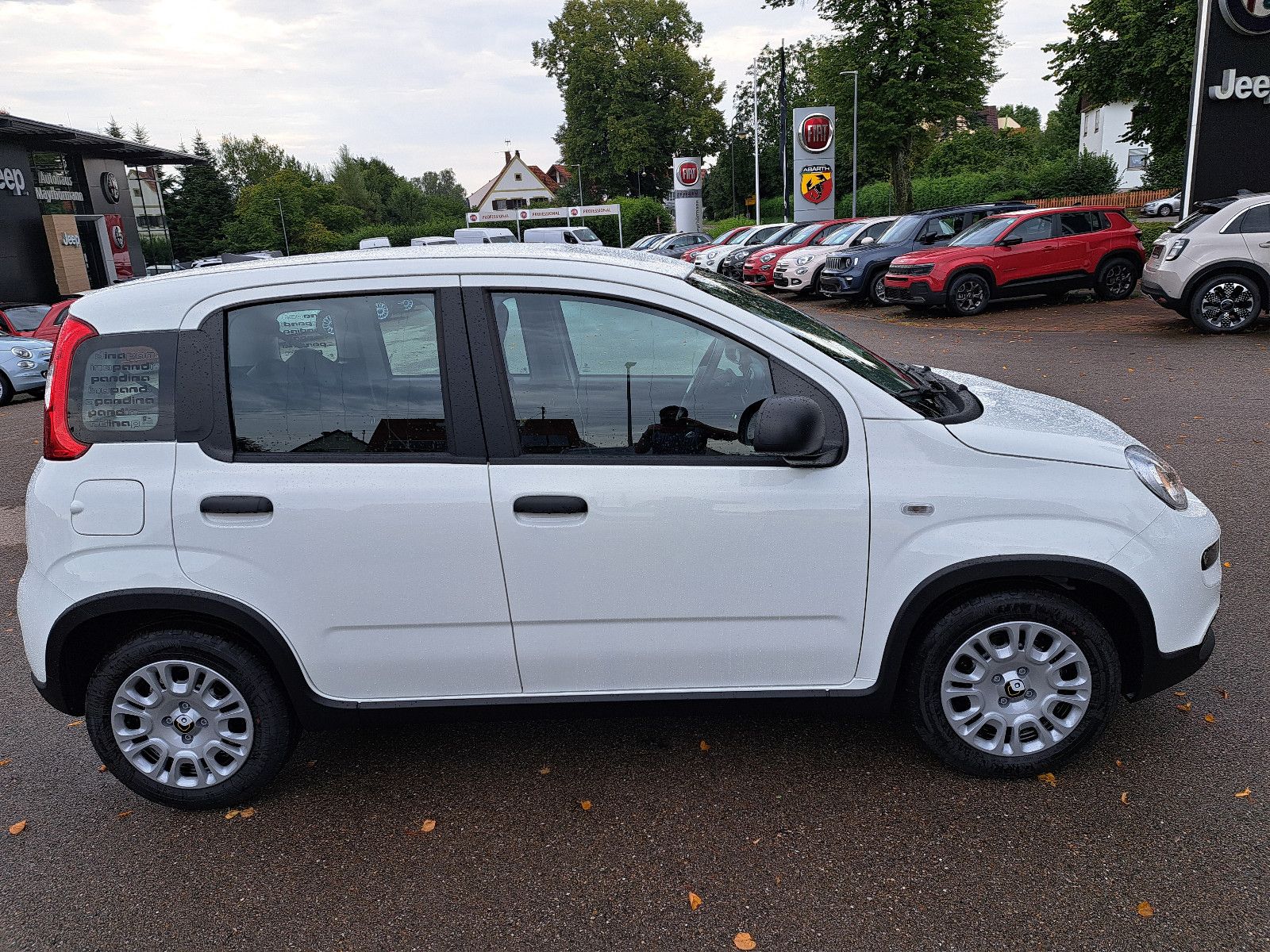 Fahrzeugabbildung Fiat Panda Pandina / Virtual Cockpit