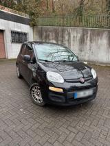 Fiat new Panda 1.2 Easy | BJ 12/2020 | TÜV... - Fiat New Panda in Essen