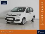 Fiat Panda 1.0 GSE Hybrid Pandina Icon - Fiat Panda Neuwagen mit Benzin-Antrieb