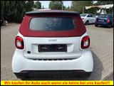 Smart fortwo cabrio 60KW *EXCL*SHZ PDC DAB Schnellade - Smart mit Elektro-Antrieb: Cabrio