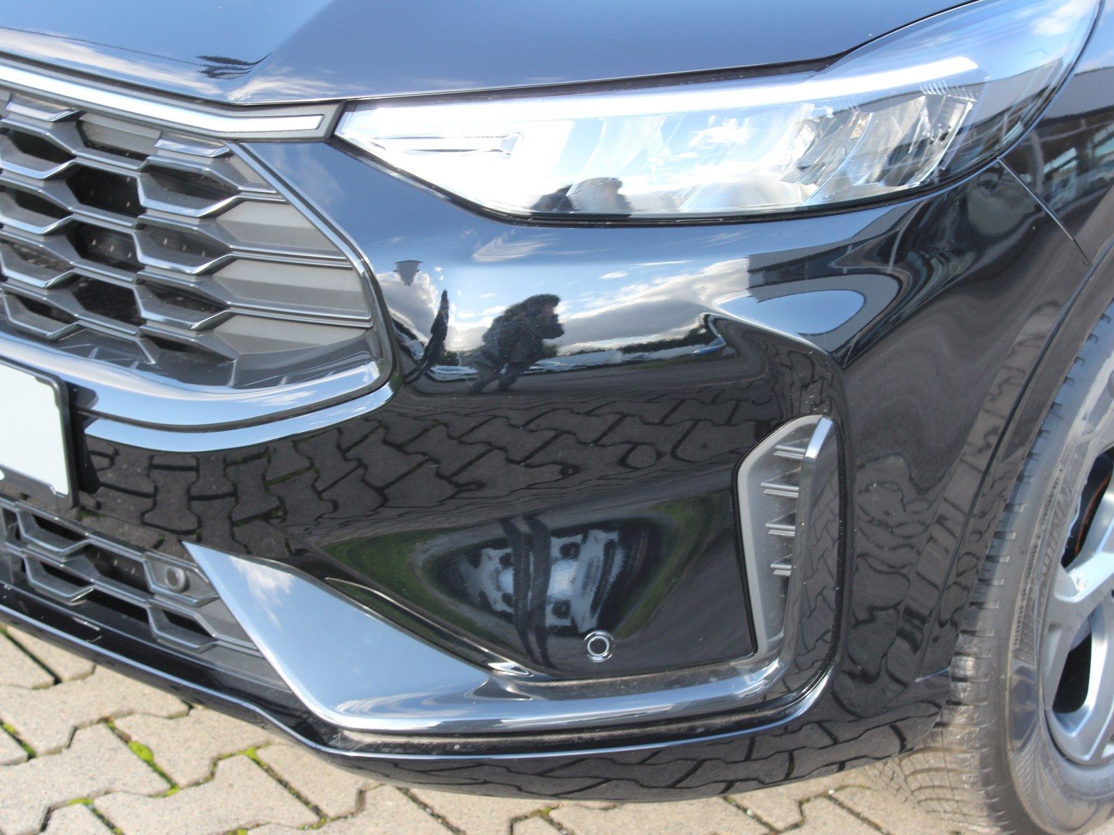 Fahrzeugabbildung Ford Kuga ST-Line