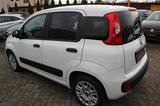 Fiat Panda Easy Klima/Allwetterreifen/nur 19.639 Km - Fiat Panda Gebrauchtwagen in Berlin