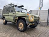 Mercedes-Benz G 240 Wolf Puch lang 6 Sitze Tüv 2xSperre H-Zul - Mercedes-Benz: Geländewagen, Wolf