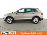 Volkswagen Tiguan 2.0 TDI Highline 4Motion BM Tech Aut.*ACC - Volkswagen Tiguan mit Diesel-Antrieb: Beige