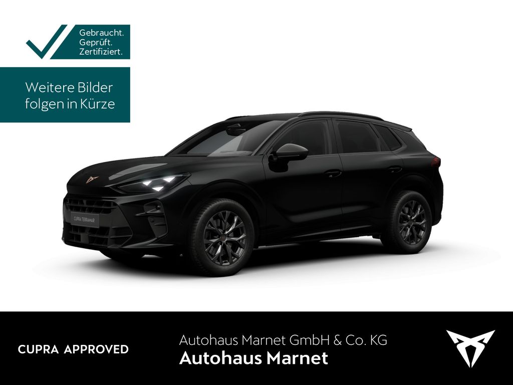 Image of Cupra Terramar