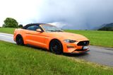 Ford Mustang GT 5.0 V8 ,Cabrio  500 PS Sc... - Ford Mustang: Cabrio, Gt500
