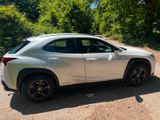 Lexus UX 250h E-FOUR Executive Line  - Lexus aus 2021