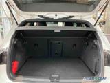 Volkswagen Golf 2.0 TSI GTI DSG LED Plus/ACC/DAB+ - Volkswagen Golf: Automatik, GTI