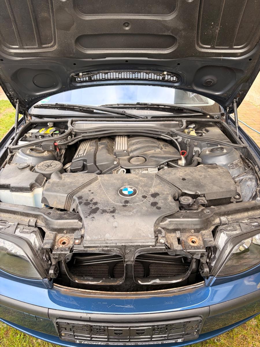 BMW 316 2004 — photo 8
