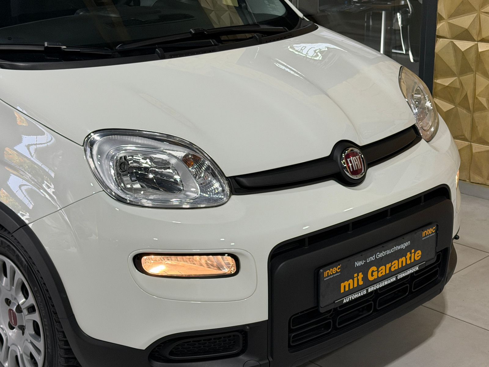 Fahrzeugabbildung Fiat Panda /KLIMA/4-TÜRER/DAB/ALLWETTER/1-HAND