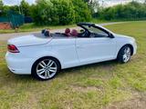 Volkswagen Eos 2.0 TDI Cup Blue Motion Leder rot - Volkswagen Eos: R