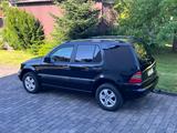 Mercedes-Benz ML 270 CDI Final Edition, gepflegt TÜV neu,VIDEO - Mercedes-Benz ML 270: Cdi Final Edition