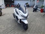 Honda PCX 125 1. Hand TÜV & Inspektion NEU! - HONDA PCX