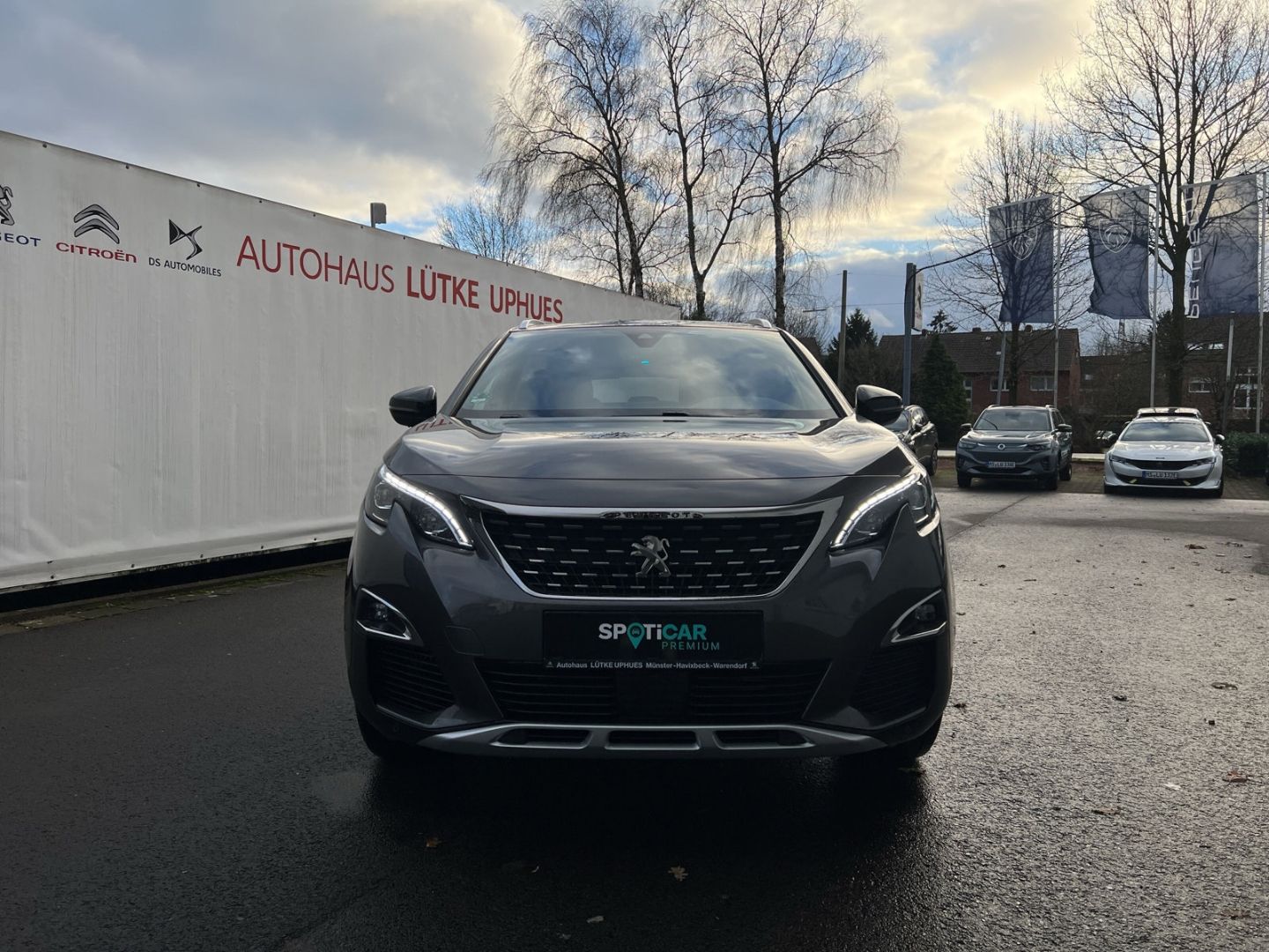 Fahrzeugabbildung Peugeot 3008 Hybrid 1.6 Plug-In EU6d Allure inkl. GT-Lin