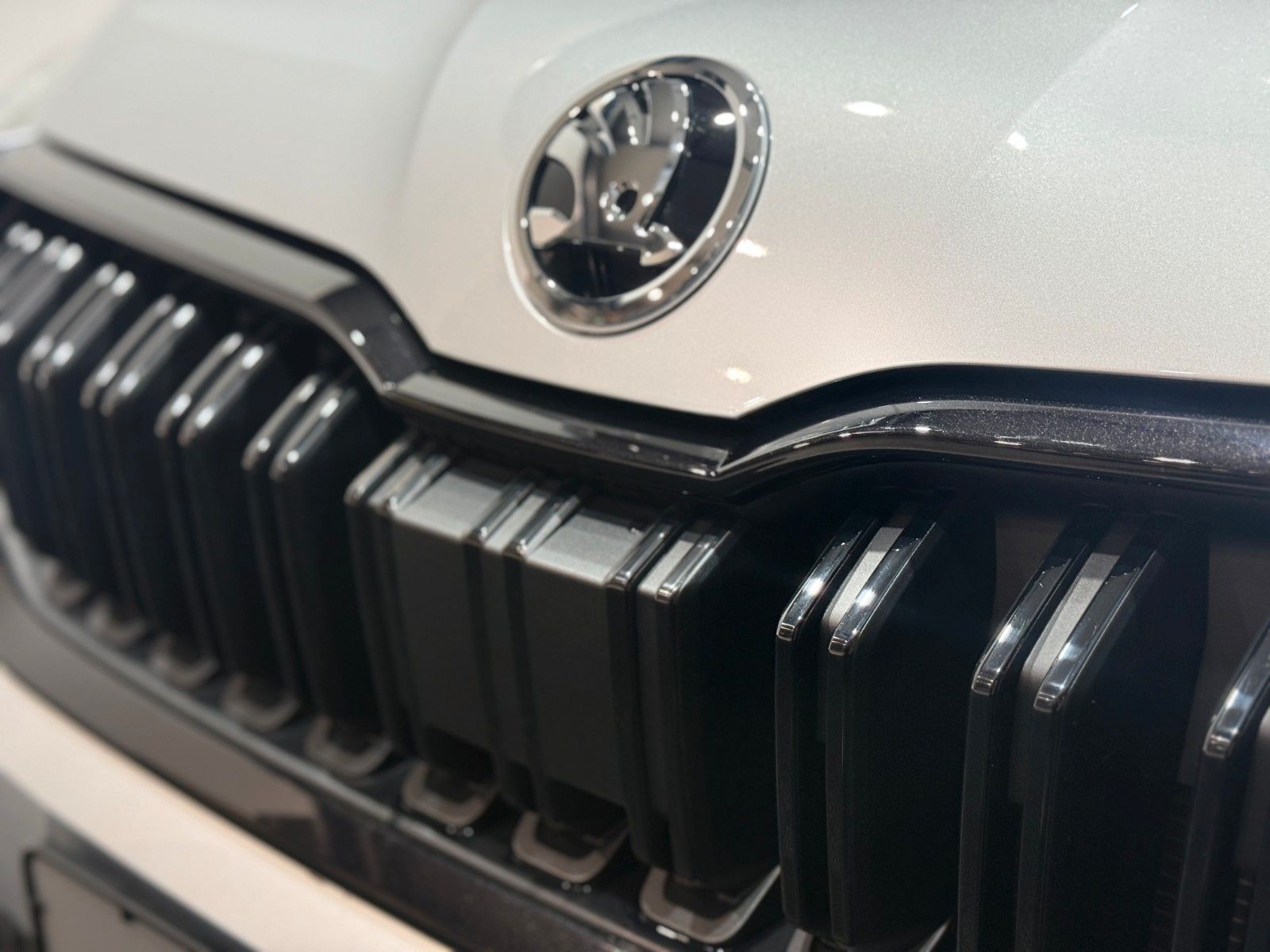 Fahrzeugabbildung SKODA Kamiq Selection / DSG / Kamera / 17 Zoll