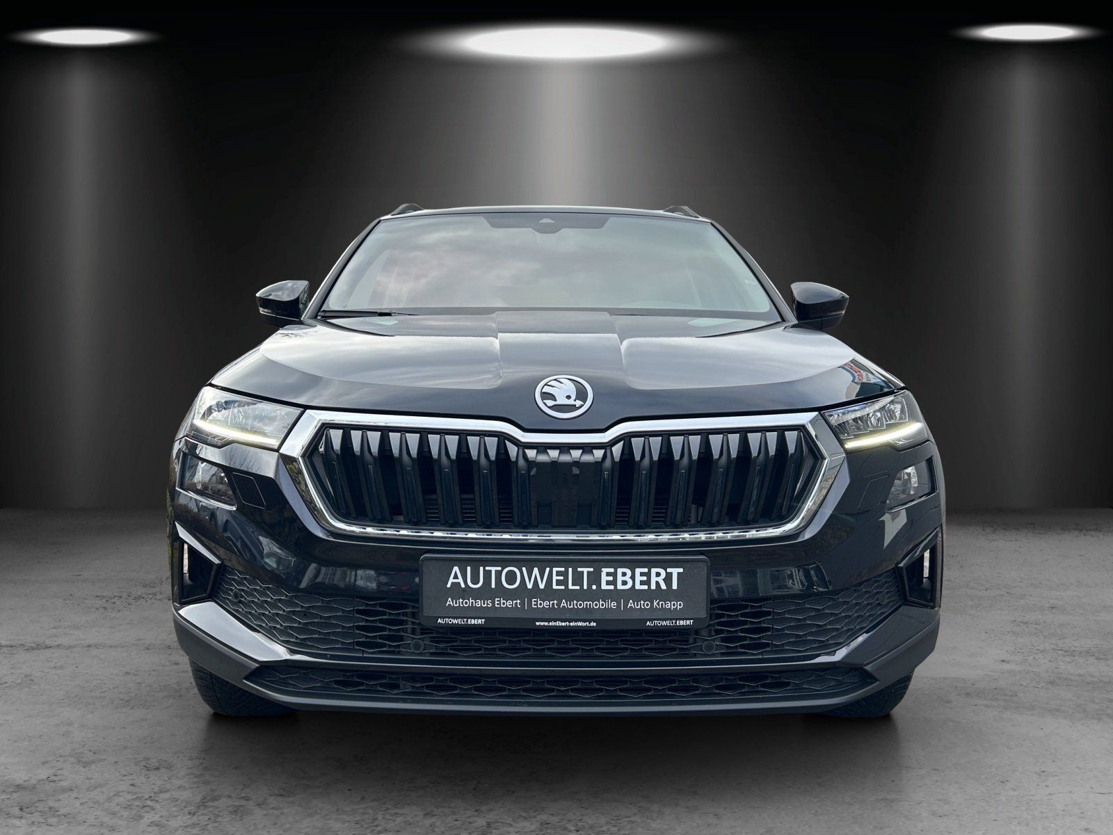 Fahrzeugabbildung SKODA Karoq Tour 2.0 TDI 4x4 DSG/LED/ACC/AHK/KAMERA