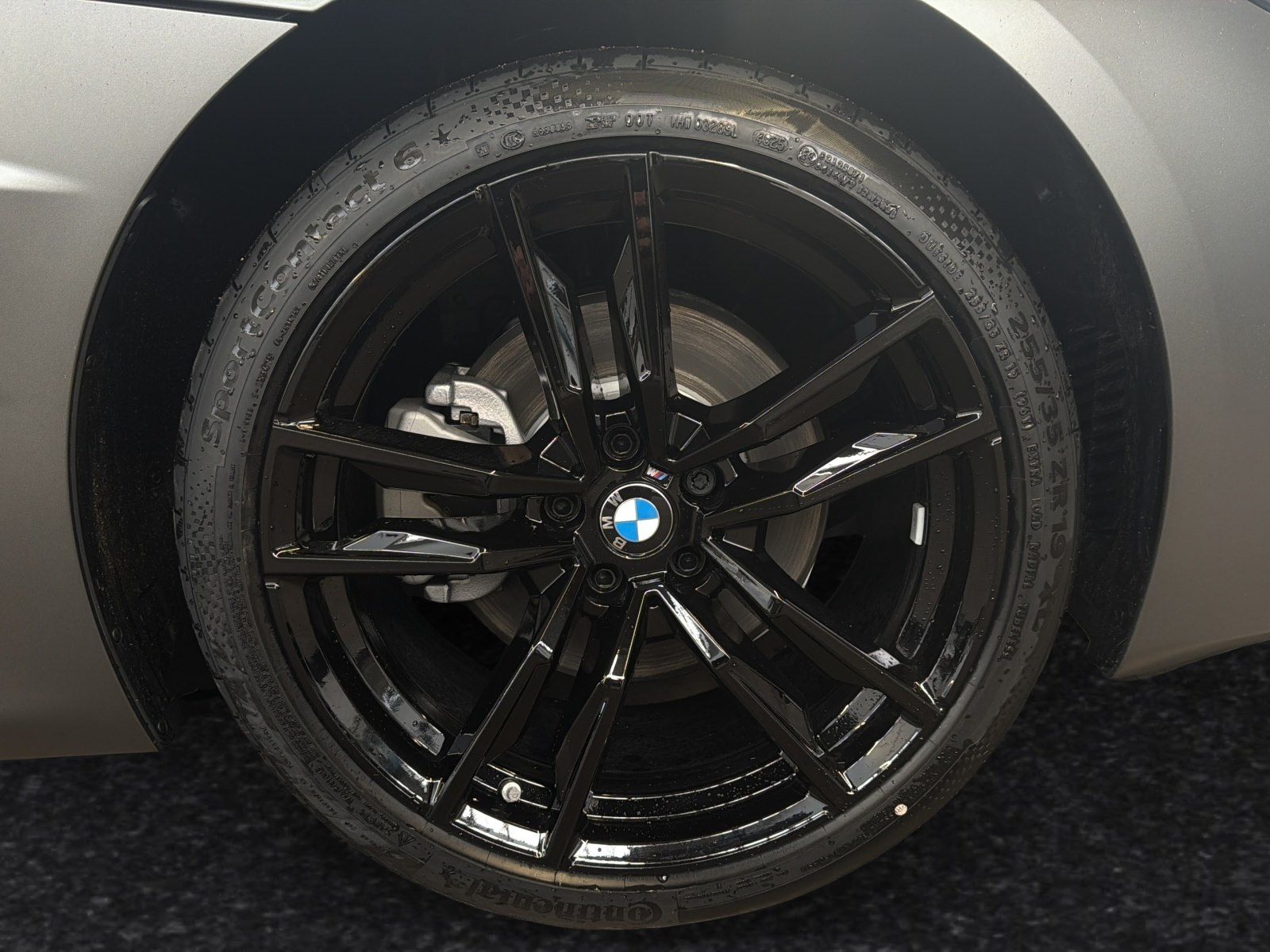 BMW Z4 - Bild 4