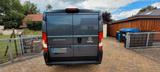 Fiat  Ducato Serie 8    L2 H1 Standheizung, Navi, - Fiat Ducato: 2.8