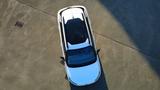 Citroën C4 Cactus BlueHDi 100 Shine - Citroën C4 Cactus von privat