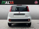 Fiat Panda ICON 1.0 GSE Hybrid - Fiat Panda Neuwagen mit Benzin-Antrieb