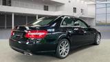 Mercedes-Benz E 63 AMG Panorama Exklusiv-Leder - : Sitzbelüftung