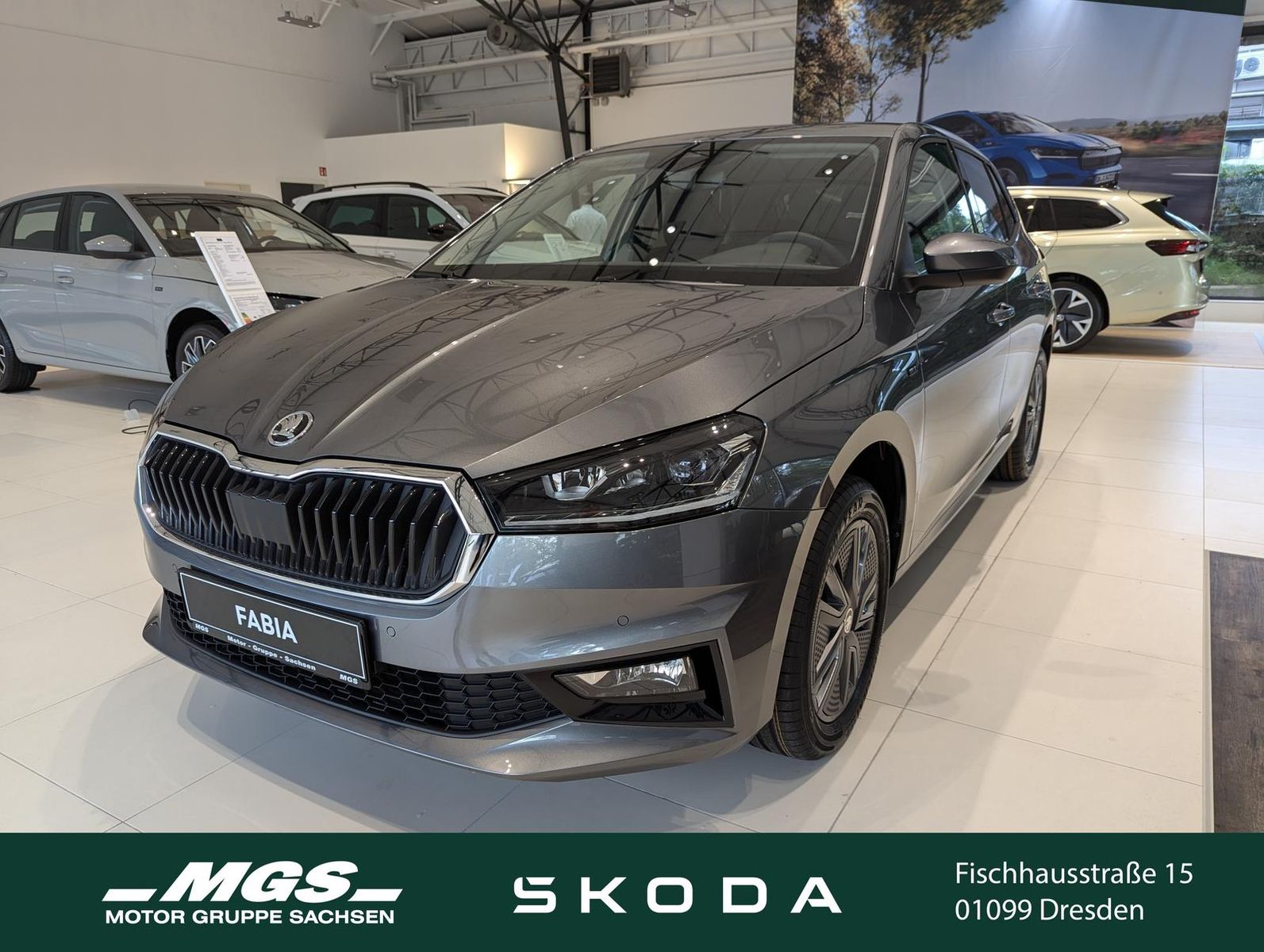 Skoda Fabia Tour 59 KW #AHK #SmartLink #31.03.