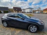 Lexus UX 250h Style Edition Style Edition - Lexus UX aus 2023
