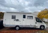 Laika Ecovip 1