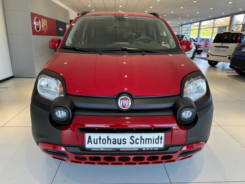 Image of Fiat Panda