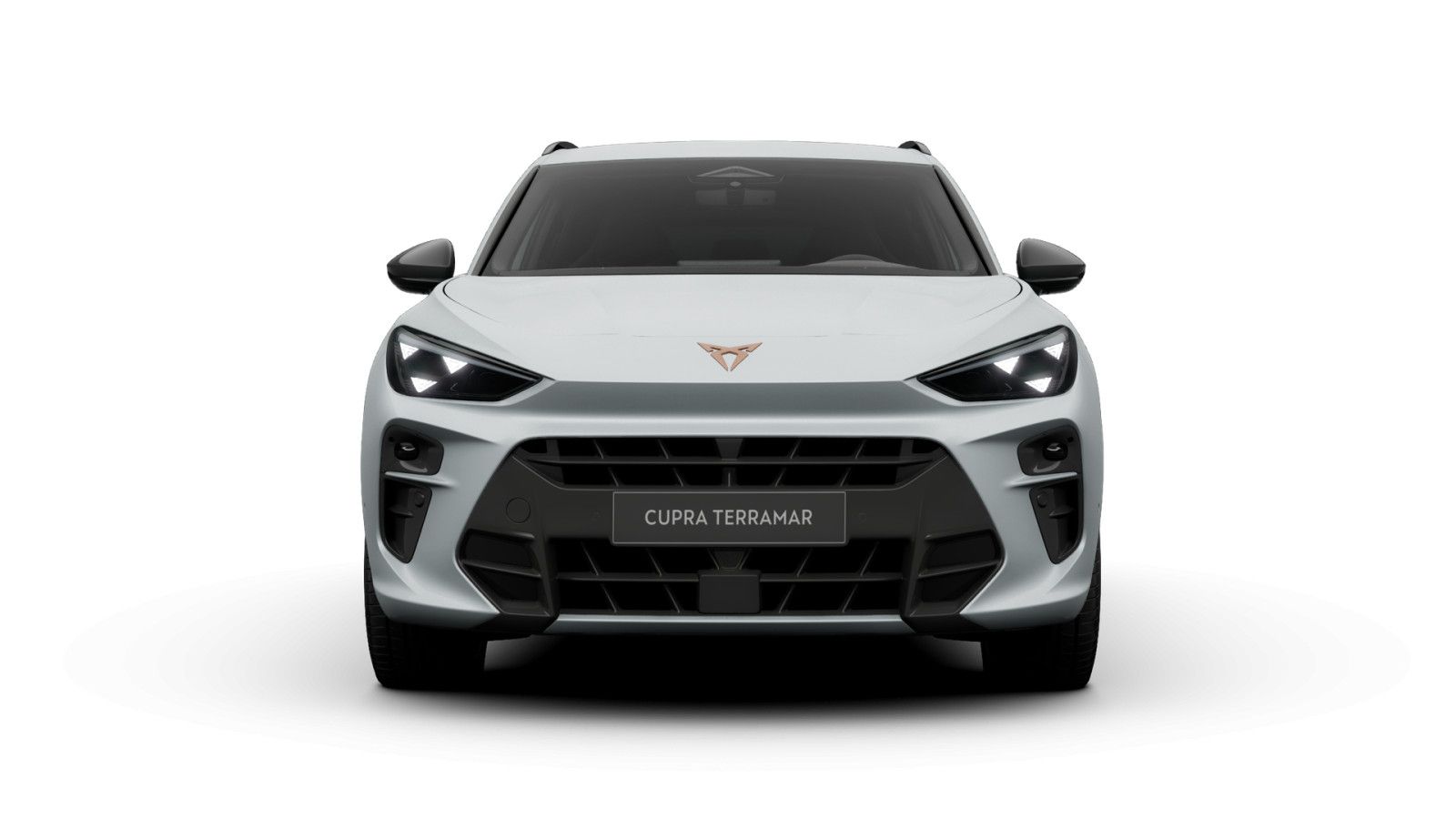 Cupra Terramar - Bild 2