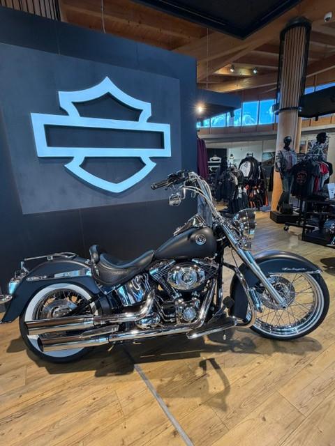 Harley-Davidson Softail Deluxe FLSTN