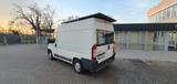 Citroën Campervan für individuelle, autarke Reisen  - Offers