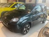 Fiat Pandina Fiat Hybrid 1.0 GSE Cross - Fiat New Panda in Hamburg