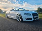 Audi A5 Cabrio Quatro 211 PS 3x S Line TÜV... - Audi A5 aus 2010: 3.2