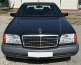 Mercedes-Benz 300 SE Klima Leder Schiebedach - Mercedes-Benz 300: Se