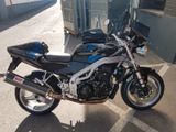 Triumph Speed Triple 955i - TRIUMPH SPEED TRIPLE 955I