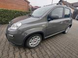 Fiat Panda Typ 312 achtfach bereift - Fiat Panda 312