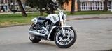 Harley-Davidson V-Rod Muscle, VRSCF - HARLEY-DAVIDSON V ROD MUSCLE VRSCF